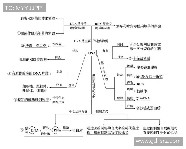 上海乒乓球队的战术创新与转换体系解析及其对比赛的影响