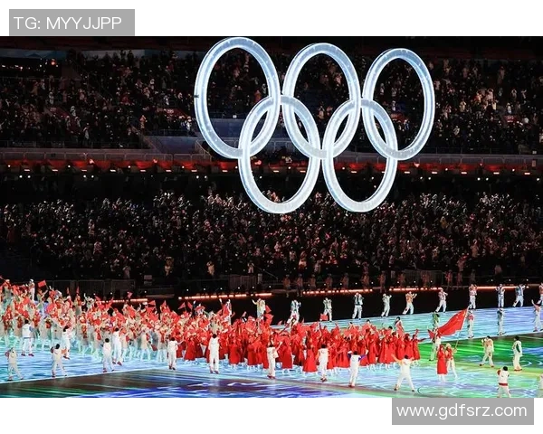 广州排球队的节奏与激情探讨聚焦排球运动的未来发展与挑战